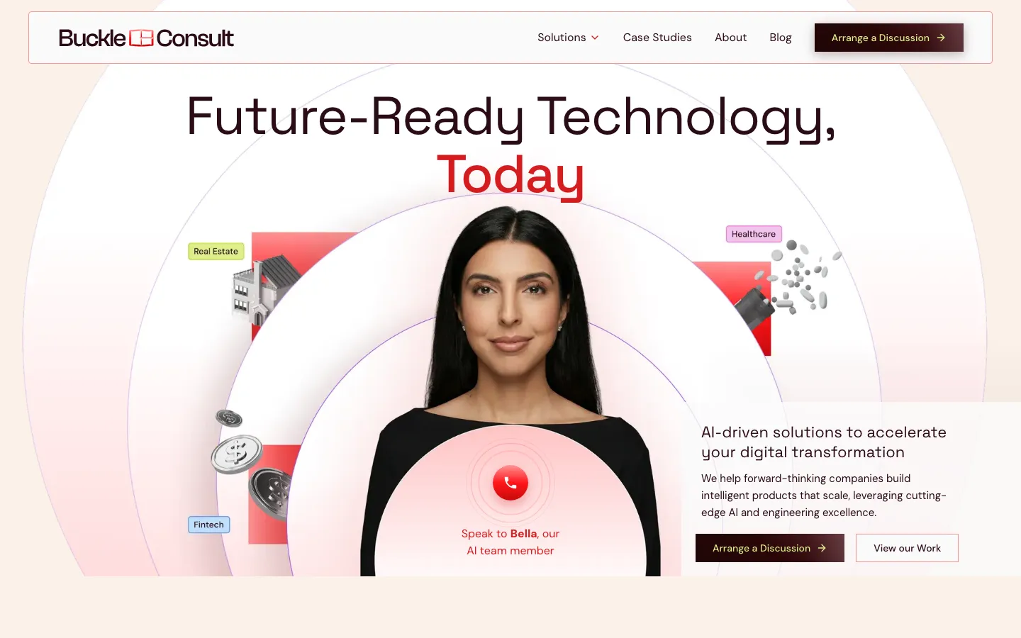 Buckle Consult home page